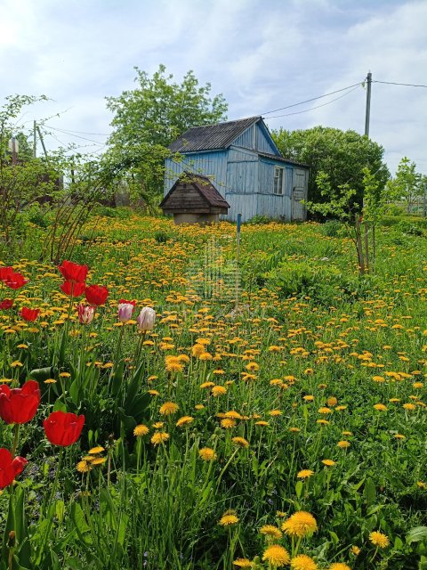Дача, 12 м², участок 5 сот.