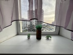 1-комнатная квартира посуточно, Николаевский проспект, 27