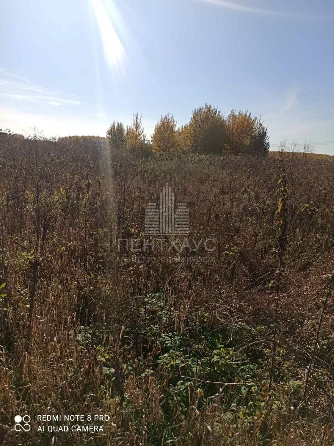 Участок 16,5 сот., ИЖС, Струково д.