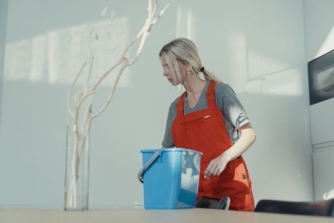 Дворник — ГБОУ ЛНР "ЛСШ № 27 ИМЕНИ КНЯГИНИ ОЛЬГИ"