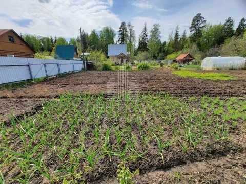 Участок 6,6 сот., садоводство, 11-я линия